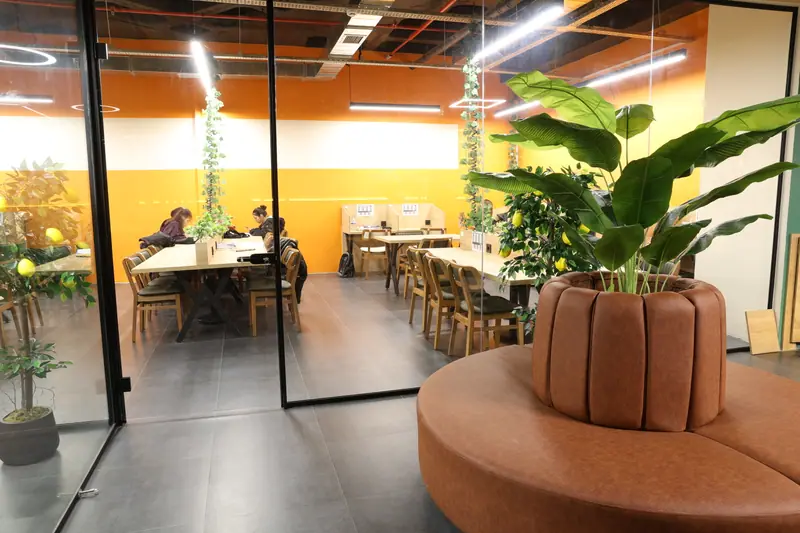 Yuvarlak deri koltuk ve dev bitki, arkada çalışma salonu