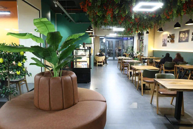 Buluşma noktası: yuvarlak koltuk ve bitki, arkada kafe