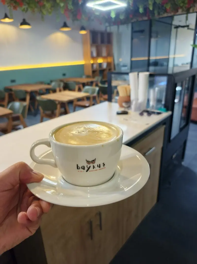 Baykuş logolu fincanda latte